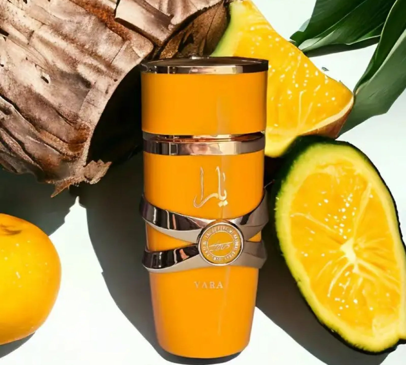 🌹 CescaBeauty Luxury Perfumes – Long-Lasting & Elegant Fragrances